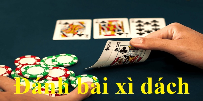 Đánh bài xì dách hốt thưởng khi nắm vững luật chơi trong tay