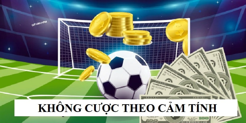 Không đặt cược dựa vào cảm tính để tăng cơ hội thắng