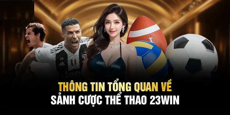 Những thông tin sơ lược nhất về sảnh thể thao 23WIN